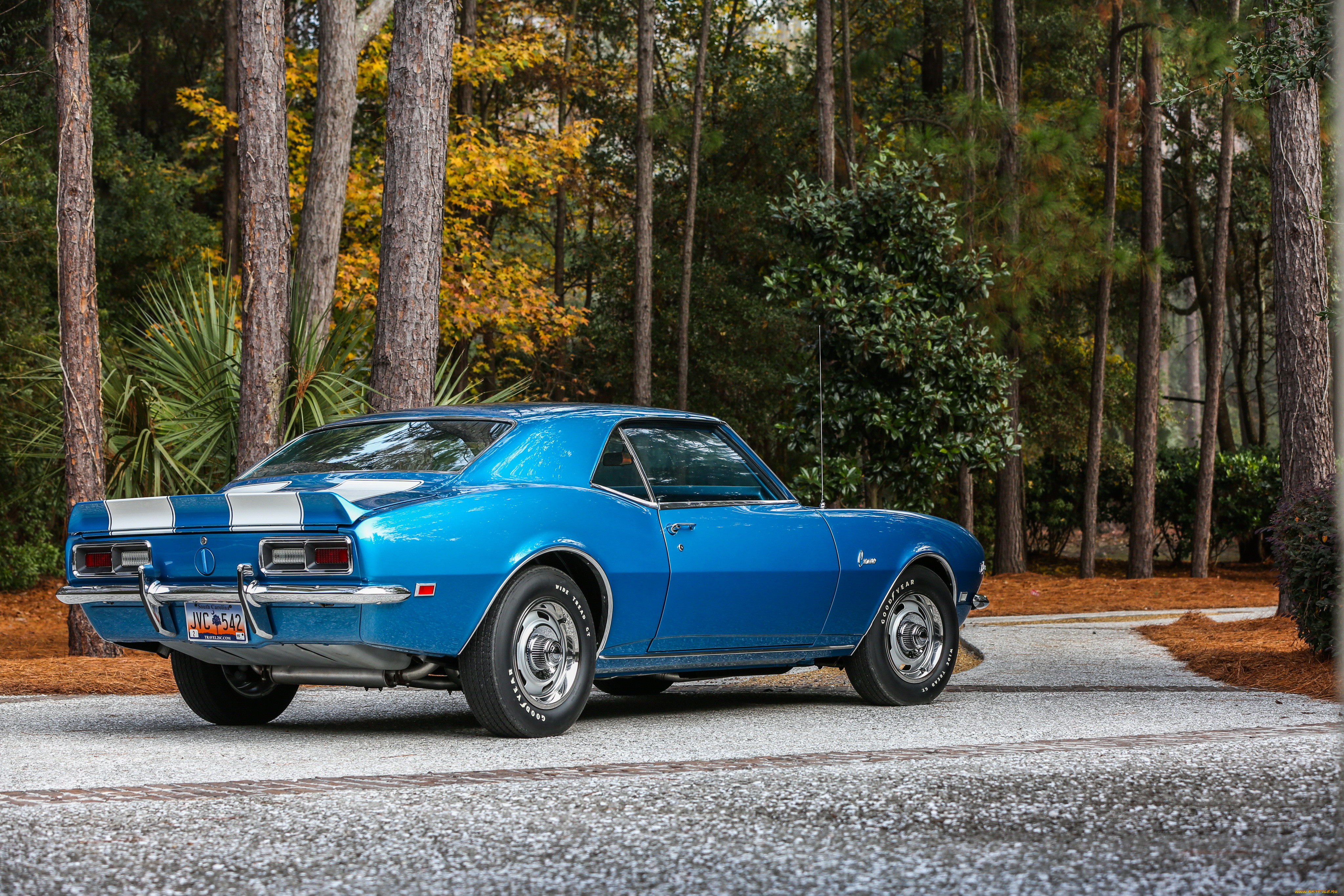 , camaro